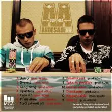 Adiss - Copy of Cover back.jpg